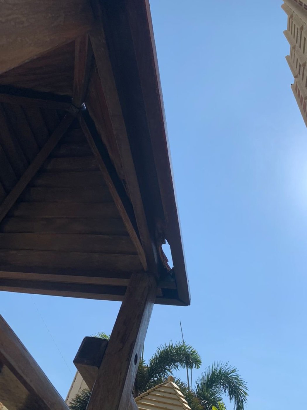 Bella Europa — imagen 5
